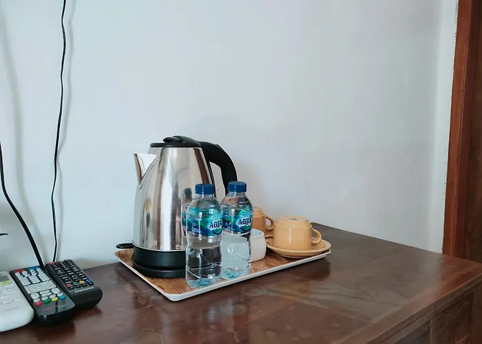 Pensión Lo Sari 4*